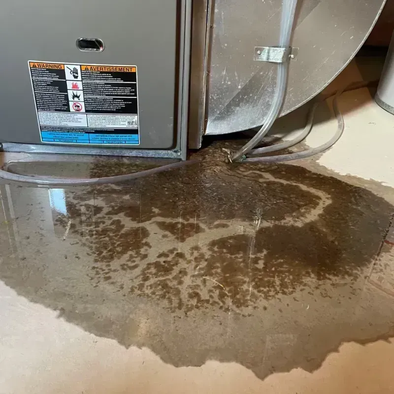 Appliance Leak Cleanup in Shinnston, WV